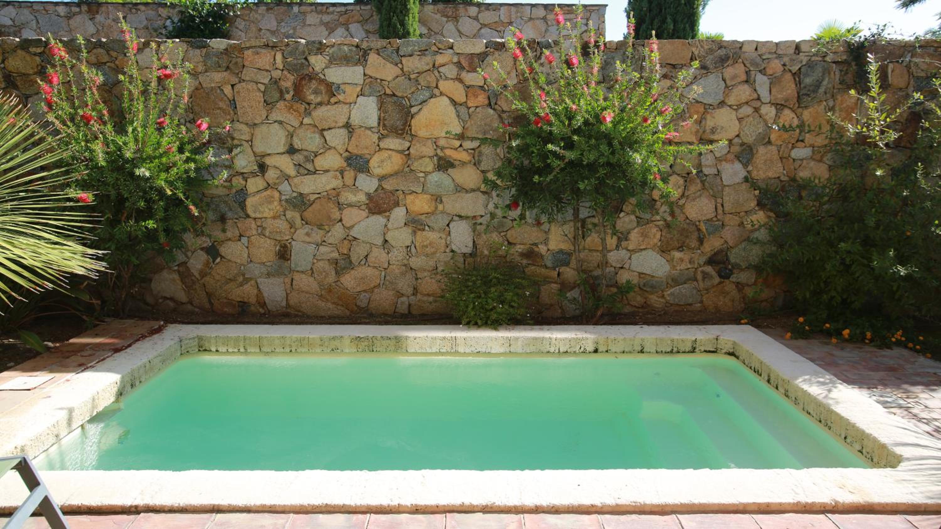 Family Villa - Photo 13