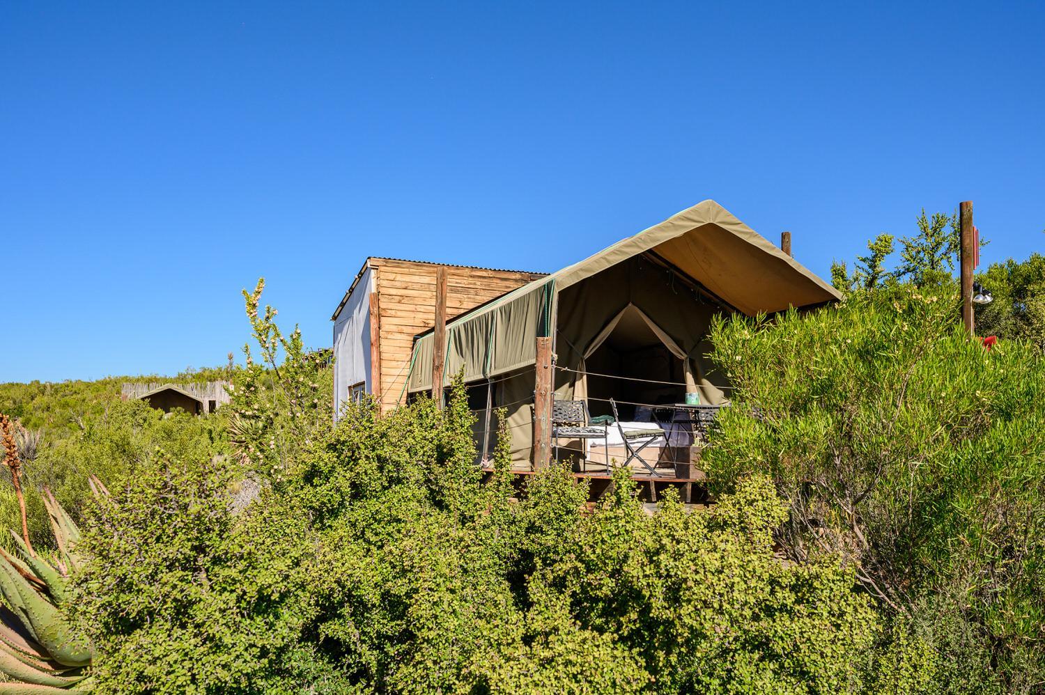 Luxury Tent photo 1