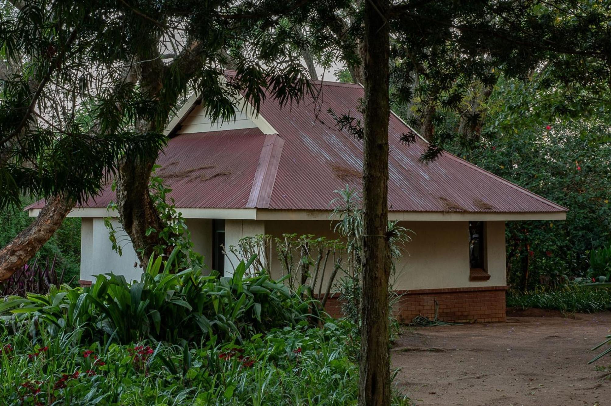 Bungalow - Photo 9