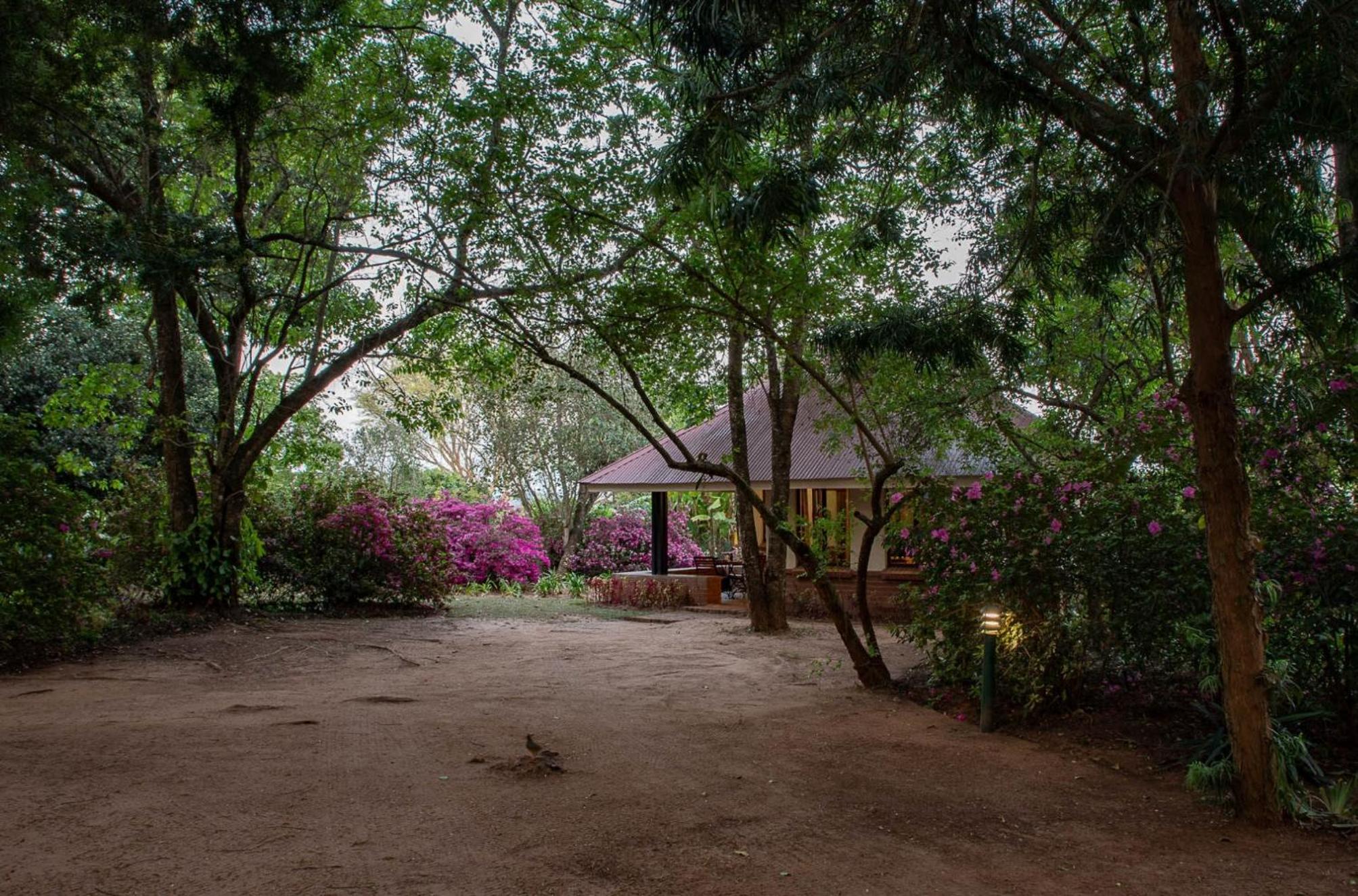 Bungalow - Photo 7
