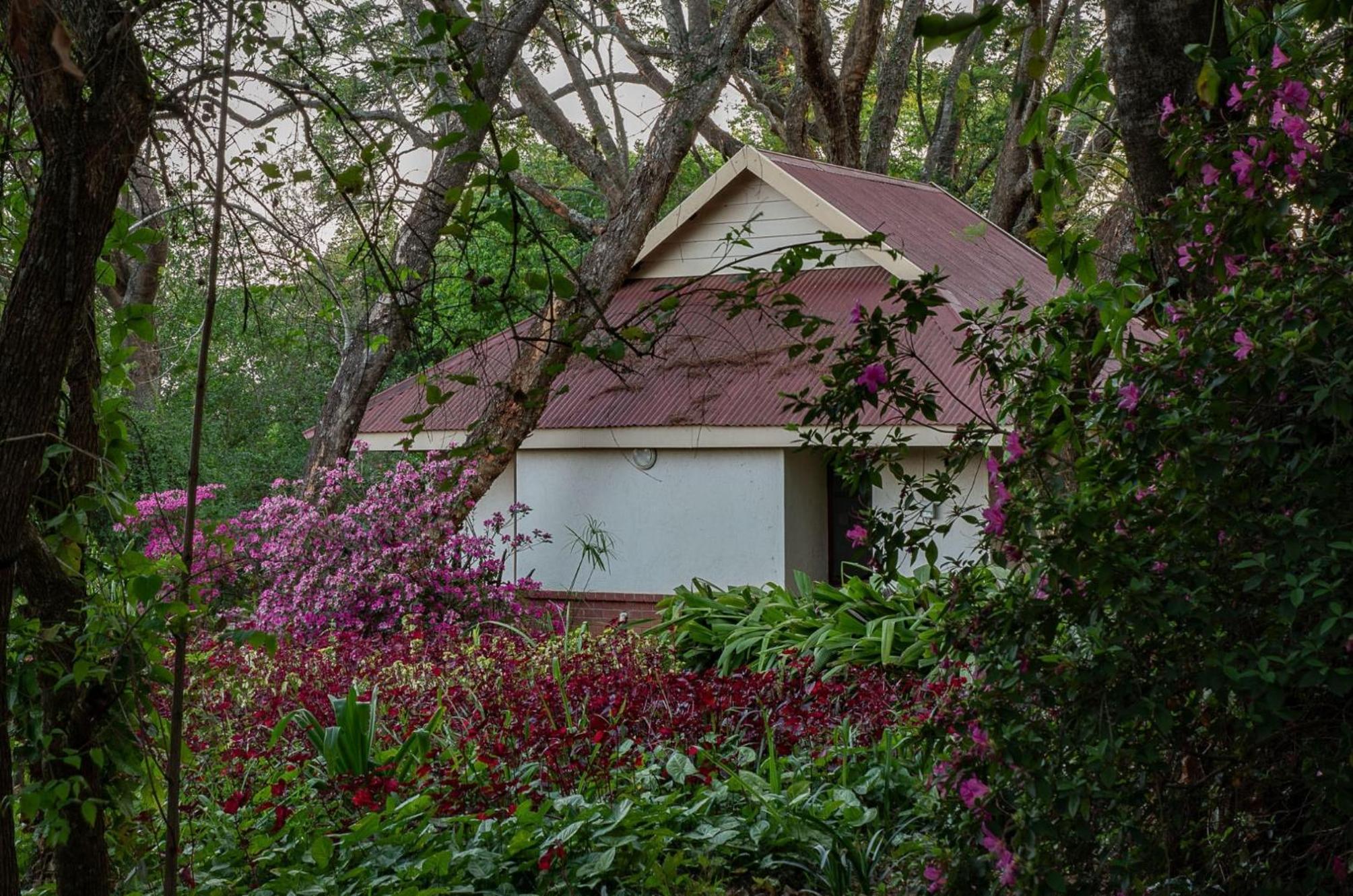 Bungalow - Photo 5