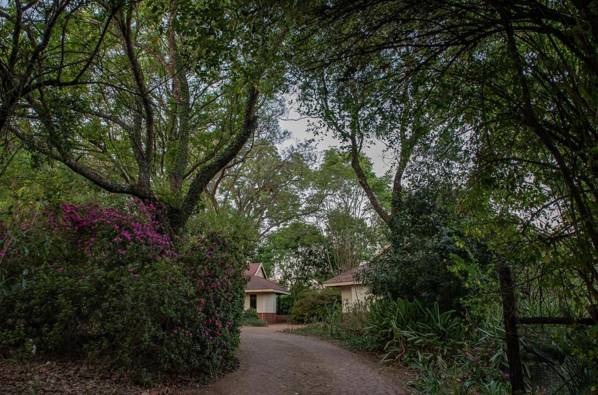 Bungalow - Photo 4