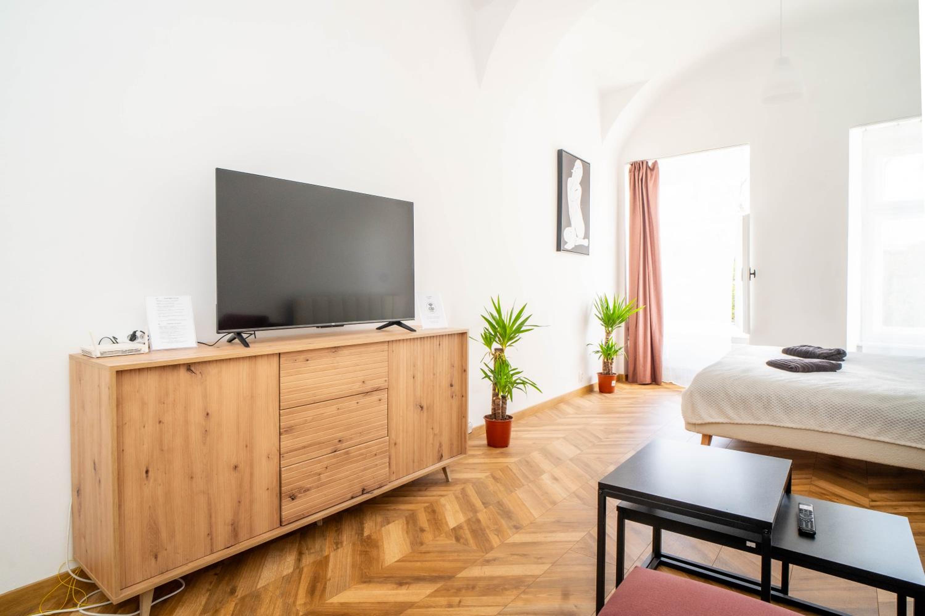 One-Bedroom Apartment photo 2