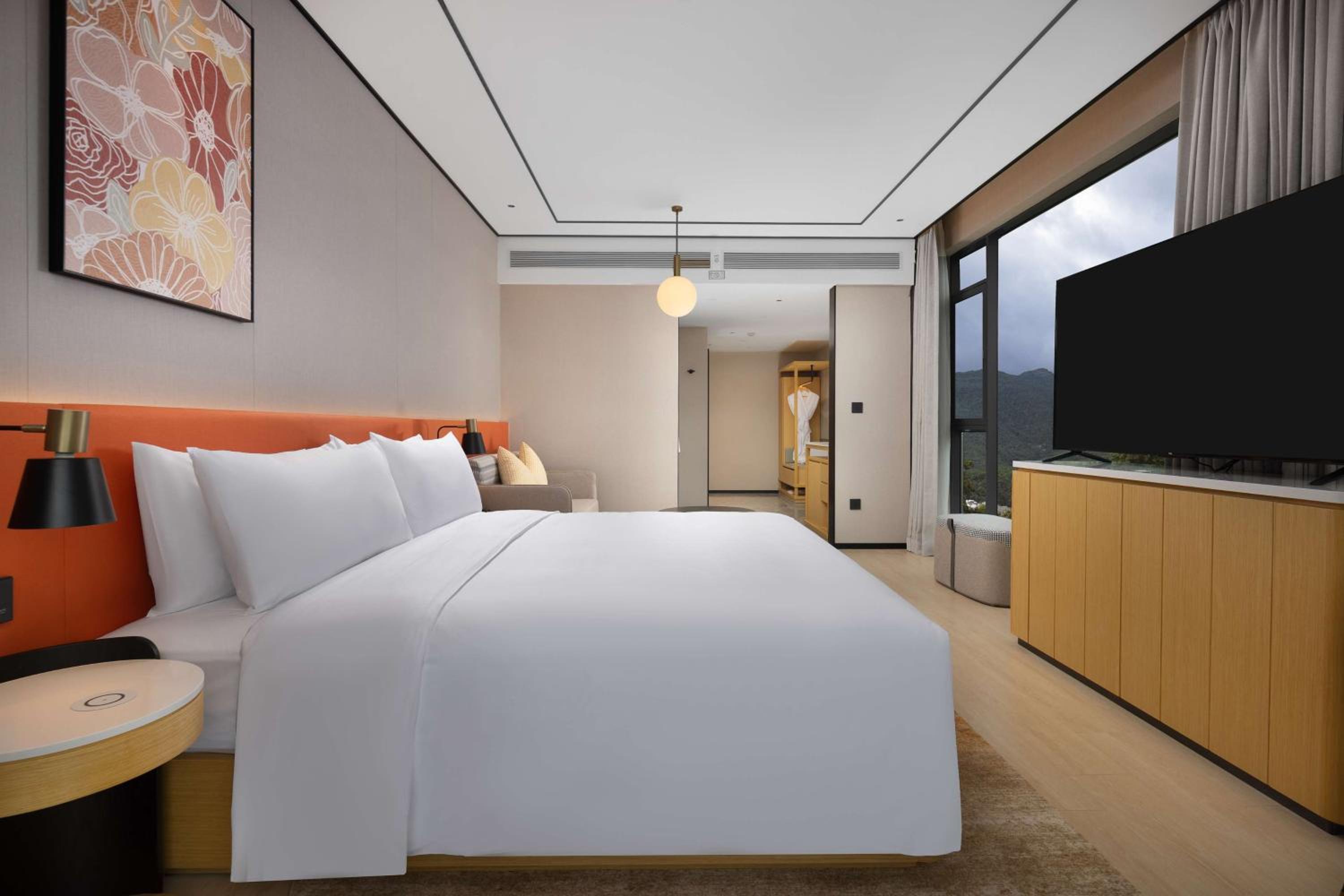Deluxe King Room photo 2