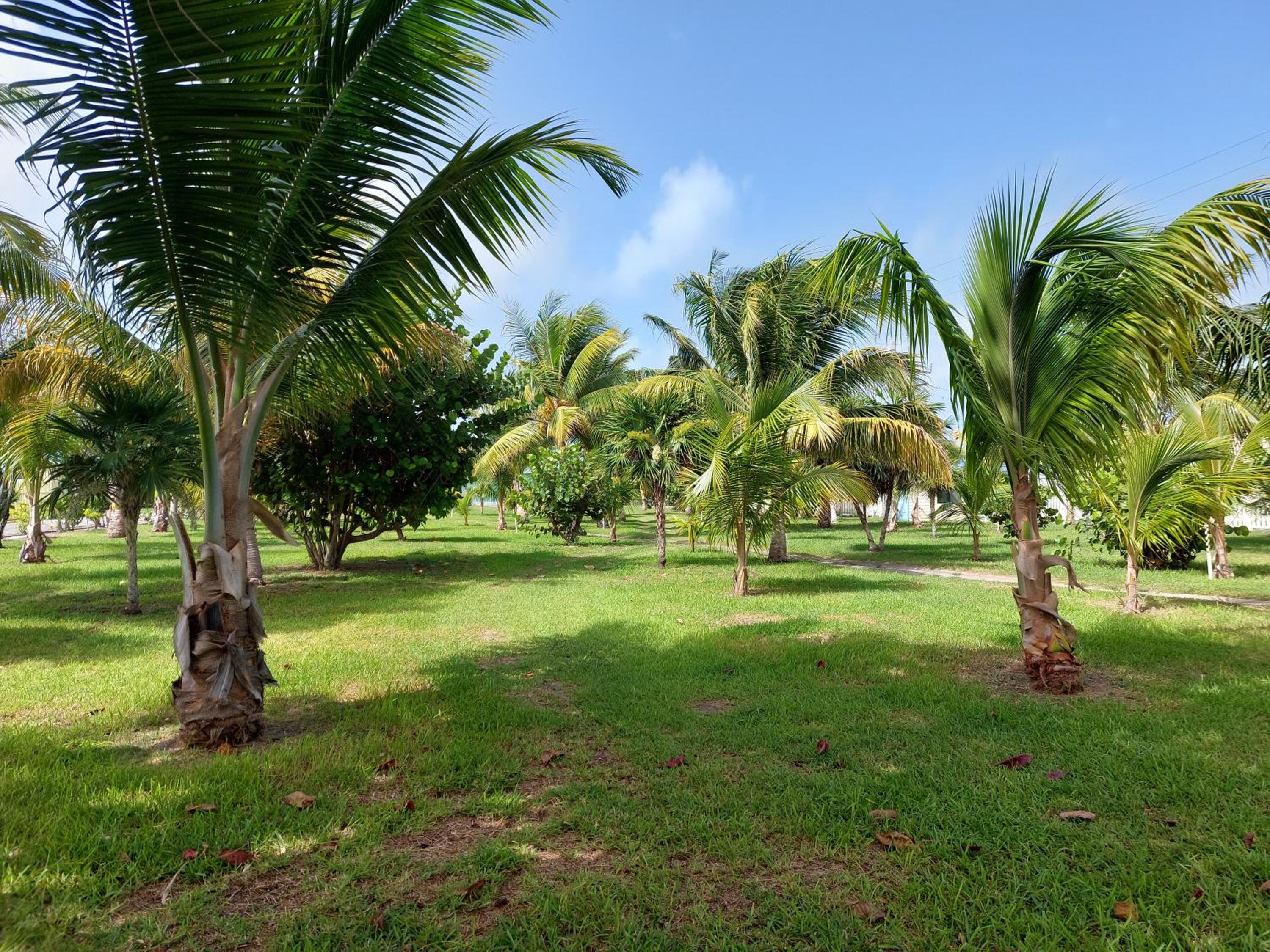 Exclusive Cabin, Fridge and Micro photo 2