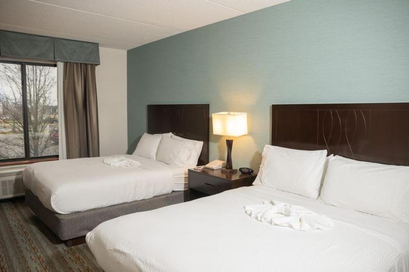Executive Queen Suite - Non-Smoking - Photo 1