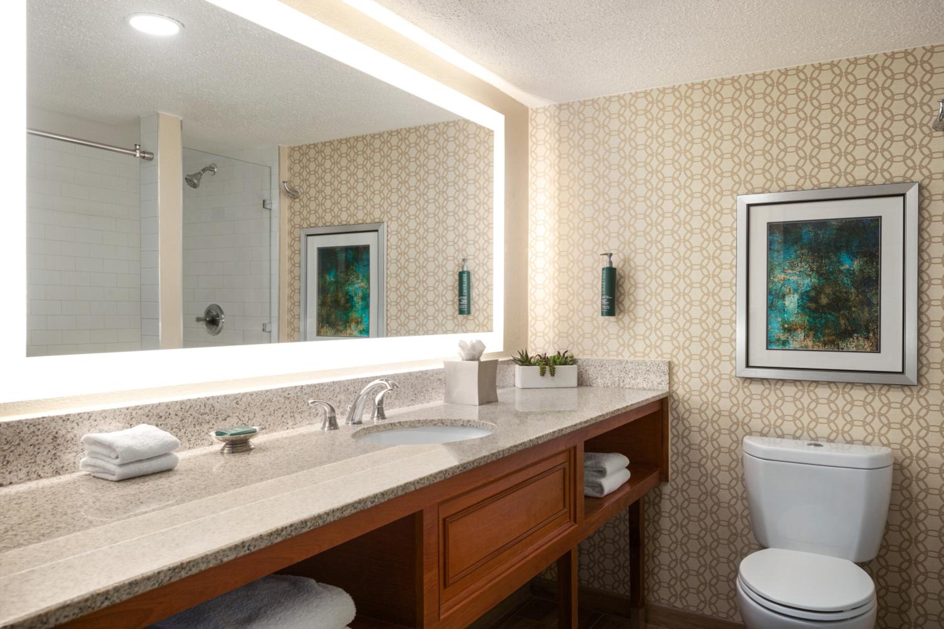 King Studio Suite - Photo 3