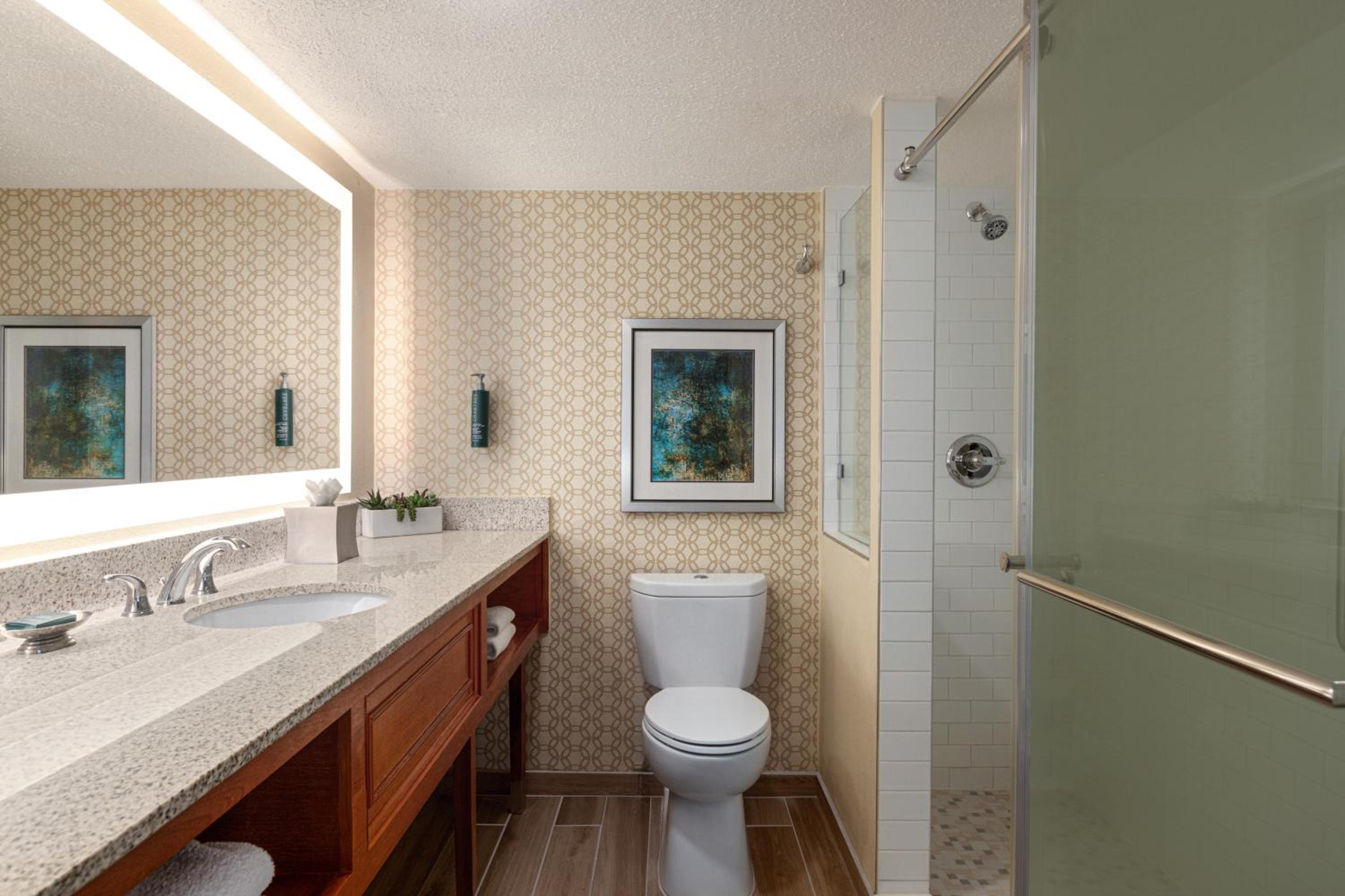 King Studio Suite - Photo 7