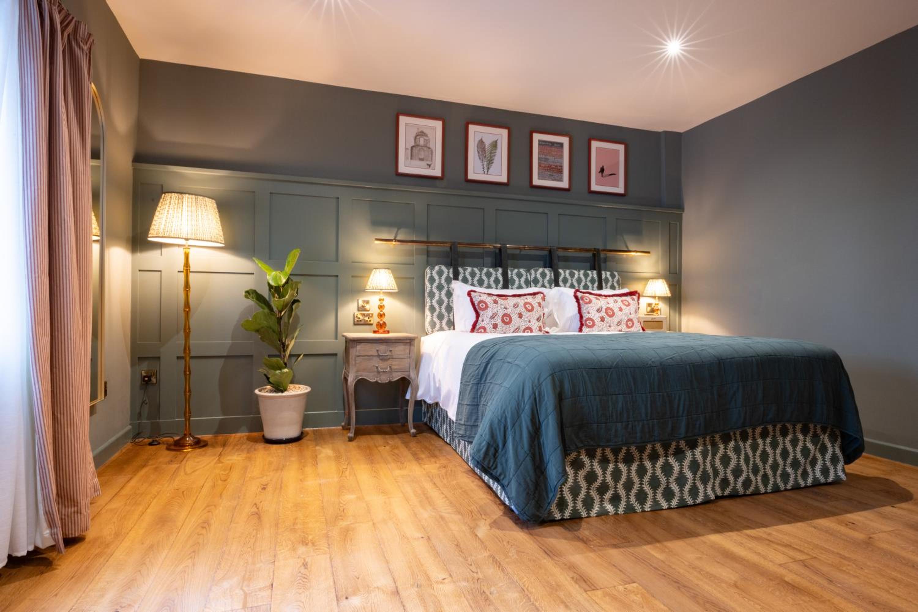 Comfy Accessible Room photo 1