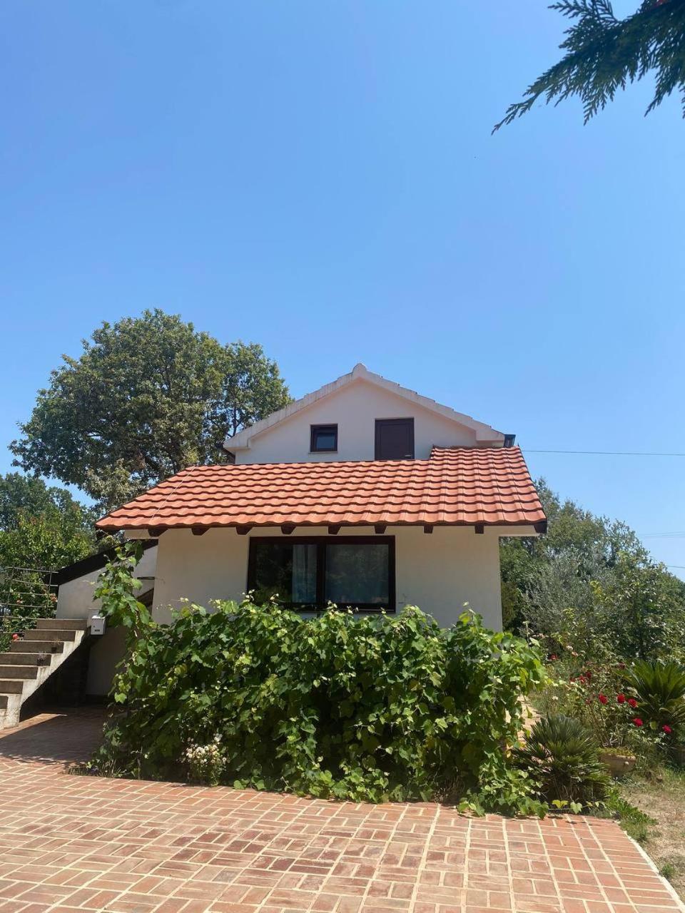 One-Bedroom House photo 3