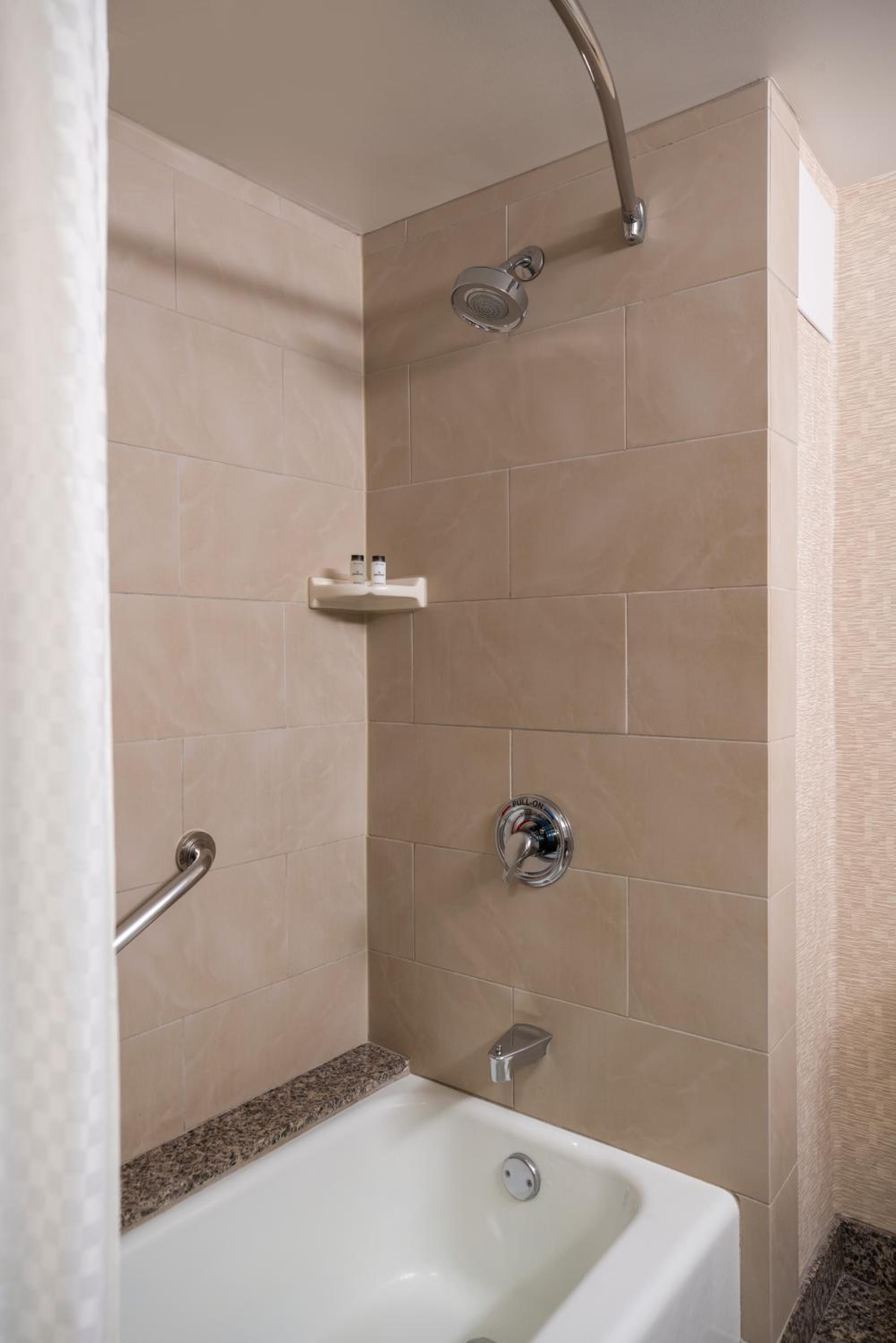 Traditional, Guest room, 1 King - Photo 3