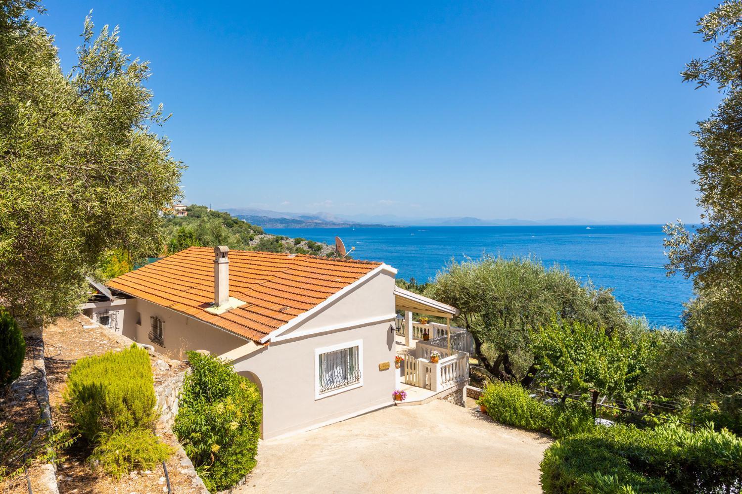Villa photo 2