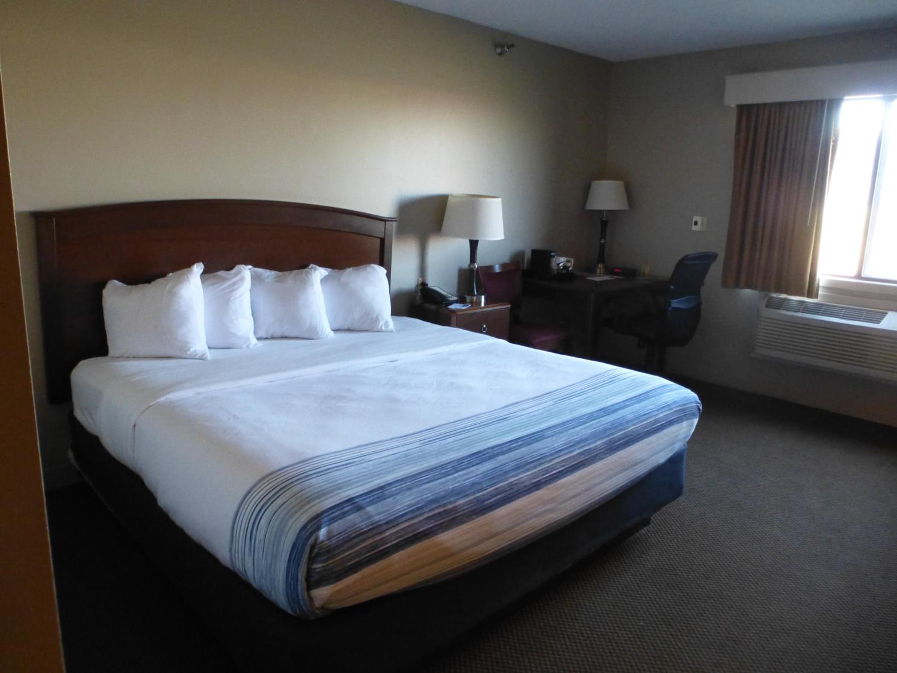 Deluxe King Suite - Non-Smoking photo 2