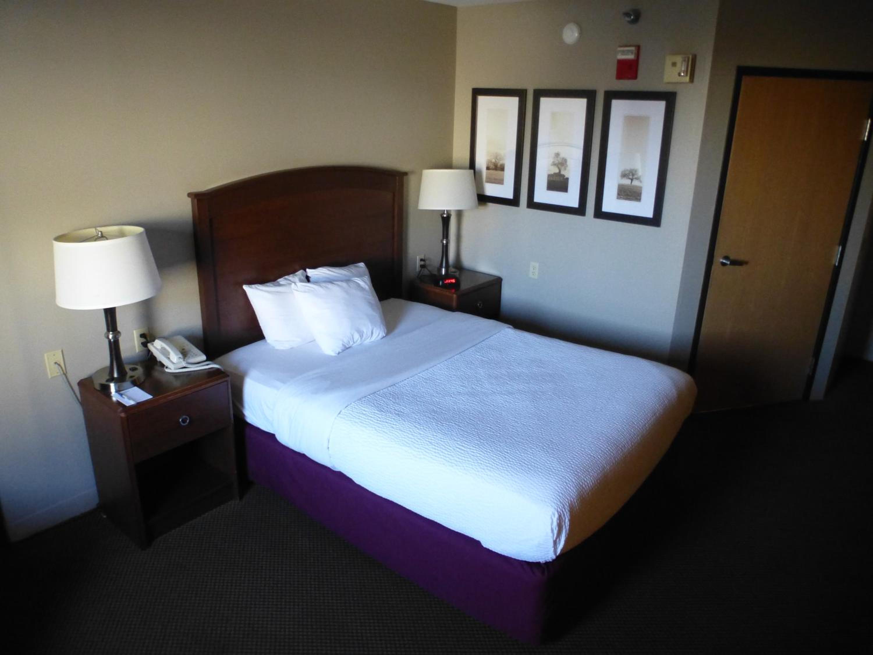 Queen Room - Mobility Access/Non-Smoking - Photo 2
