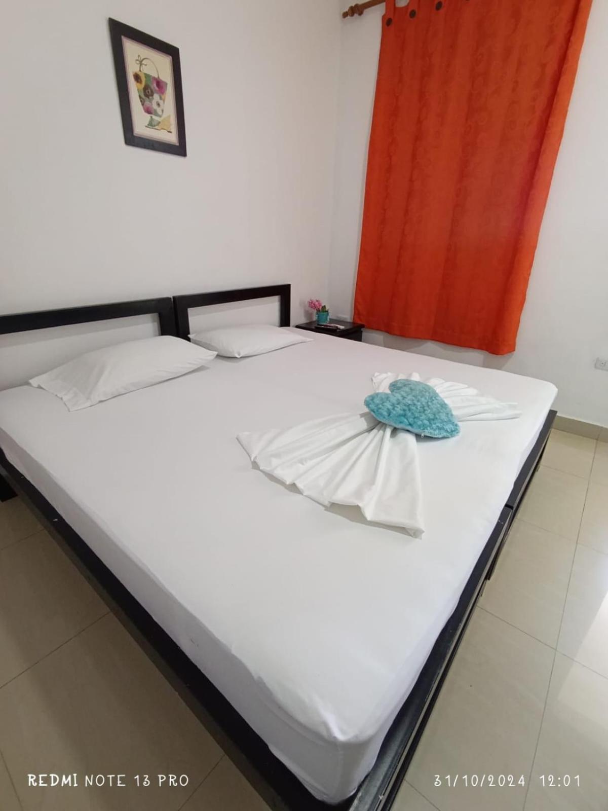 Superior Double or Twin Room photo 3