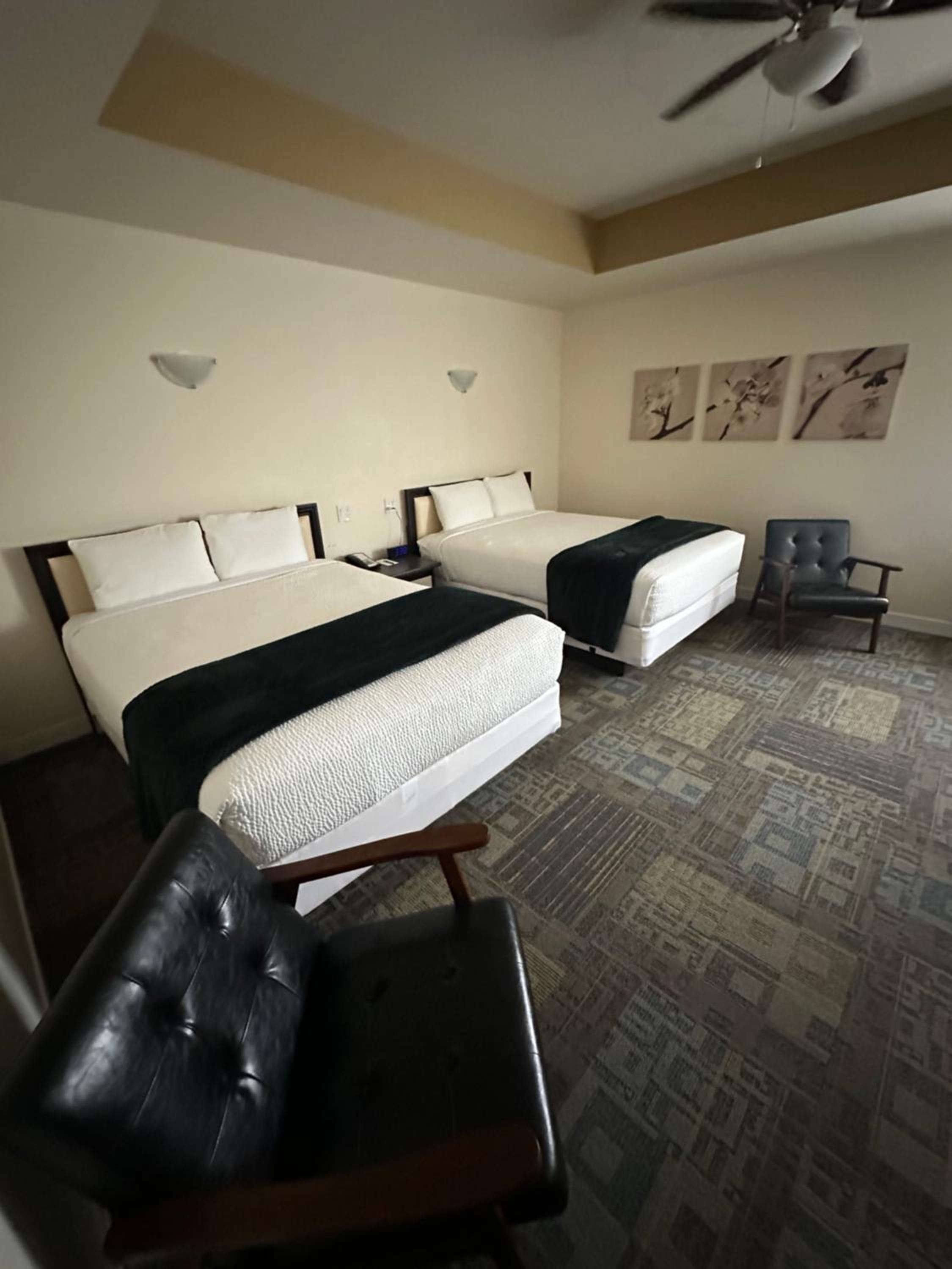 Family Room - Photo 1