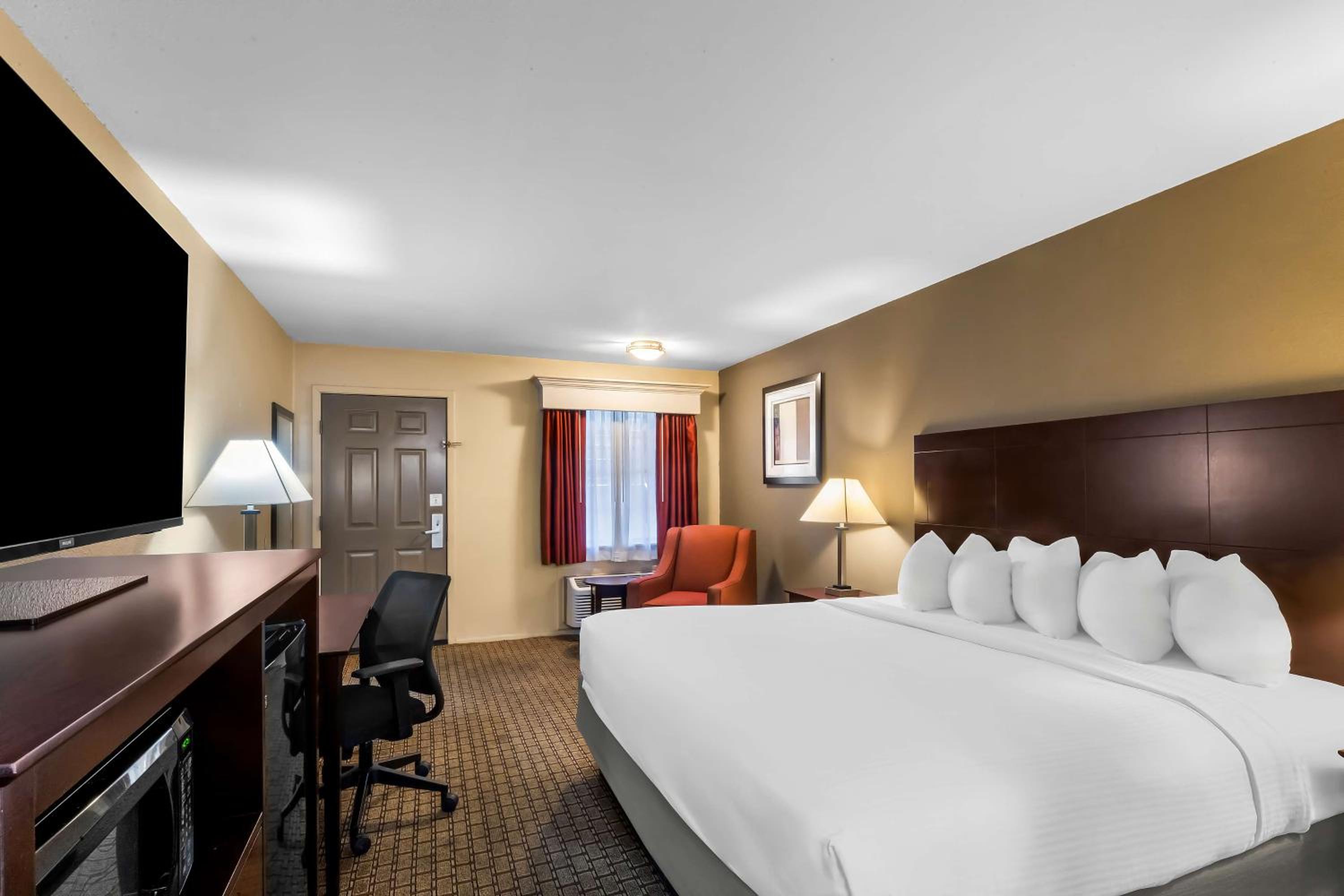 King Room photo 1