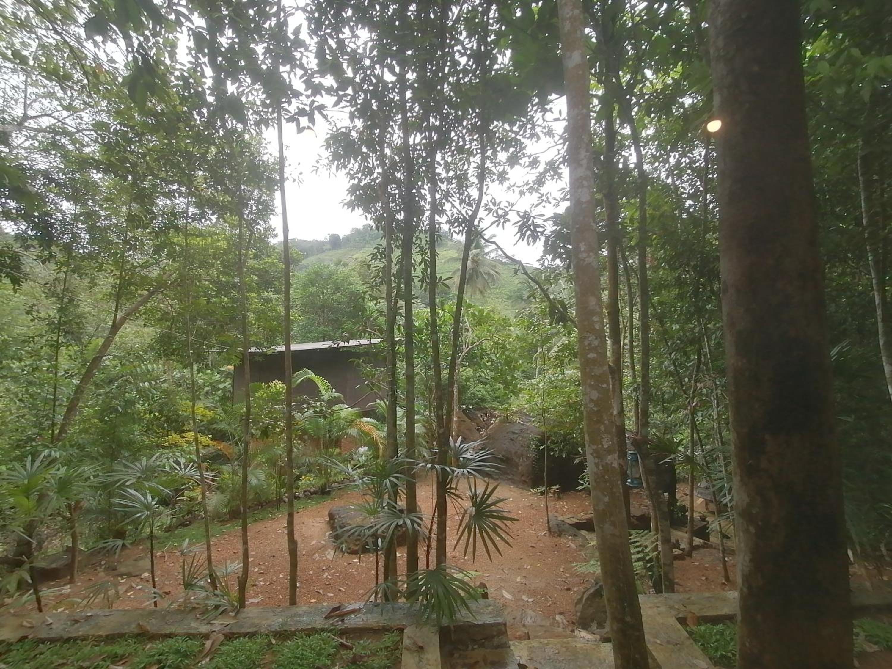 Double Room with Mountain View photo 2