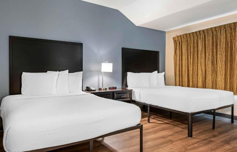 Deluxe Studio with 2 Double Beds - Non-Smoking - Photo 3