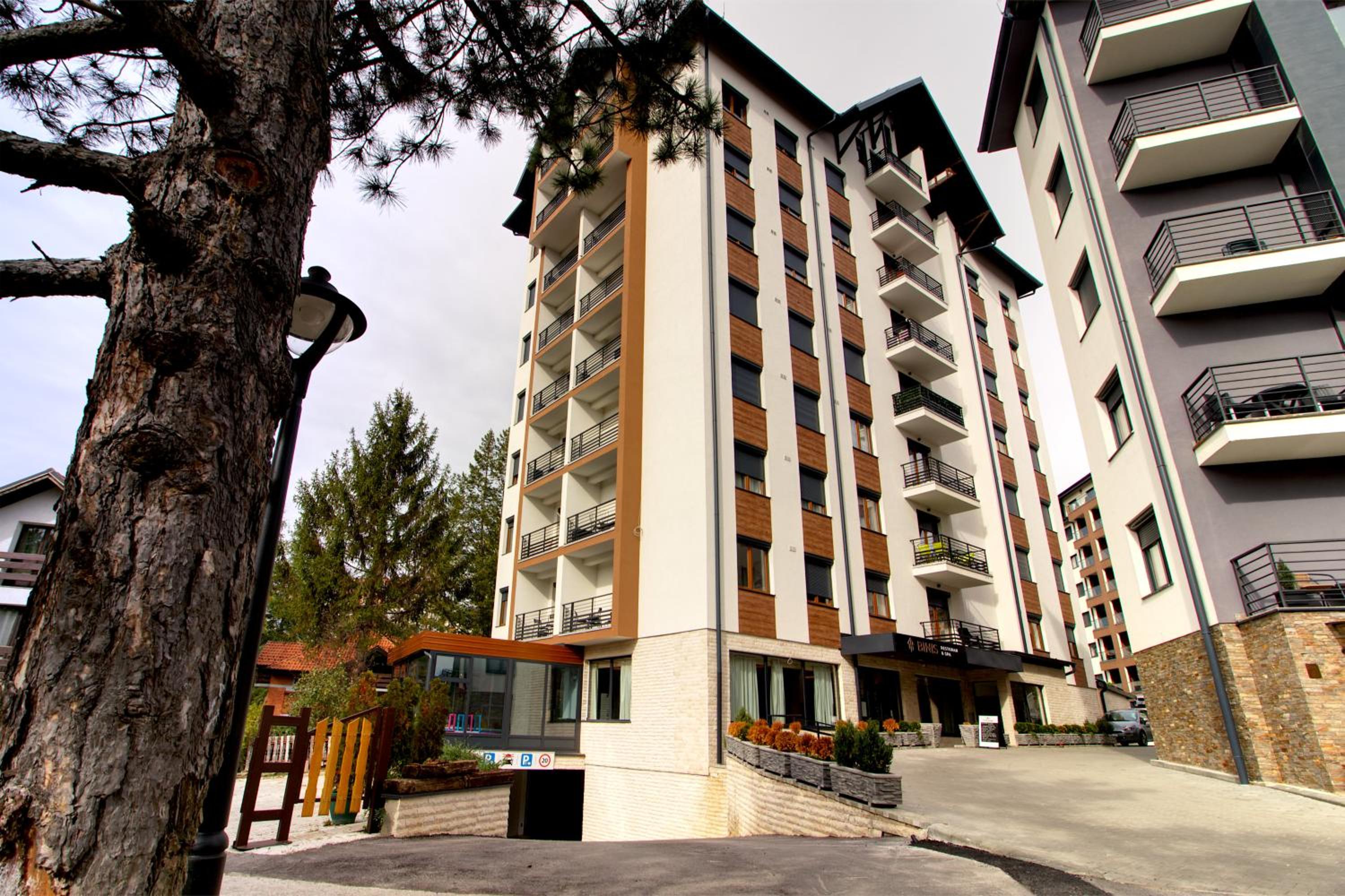 Apartment with Terrace photo 3