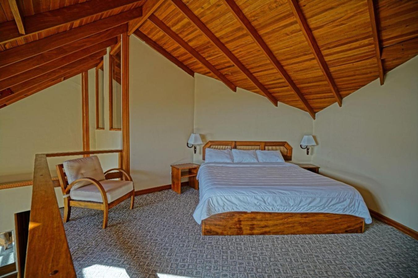 Suite - Photo 1