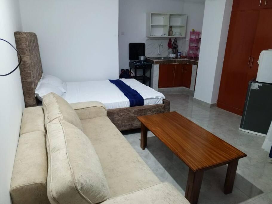 One-Bedroom Apartment photo 3