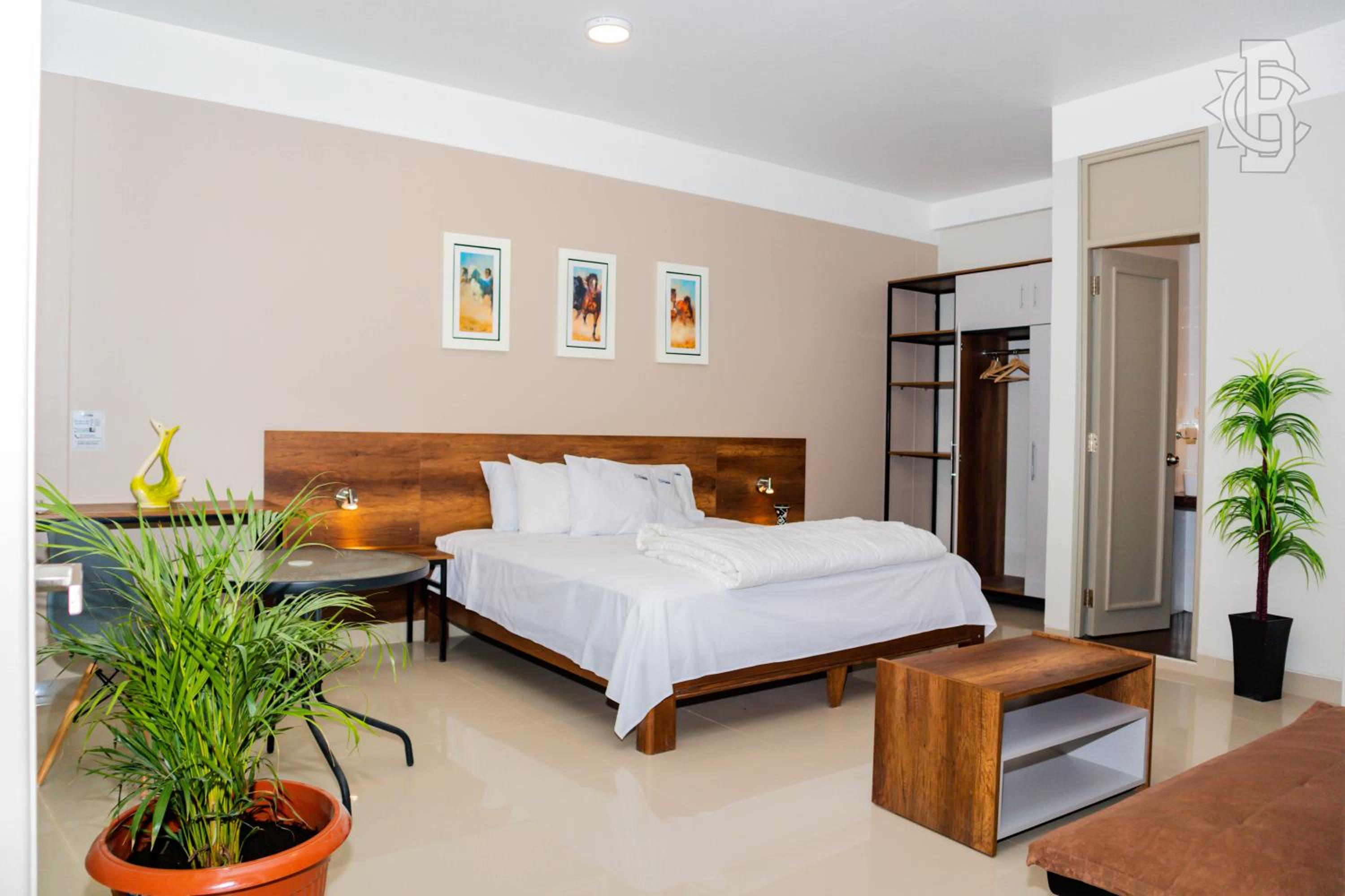 Junior Suite