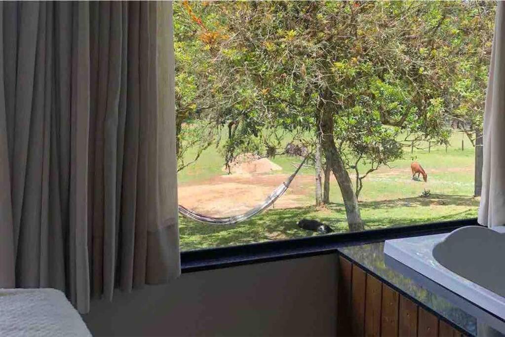 Chalet photo 3