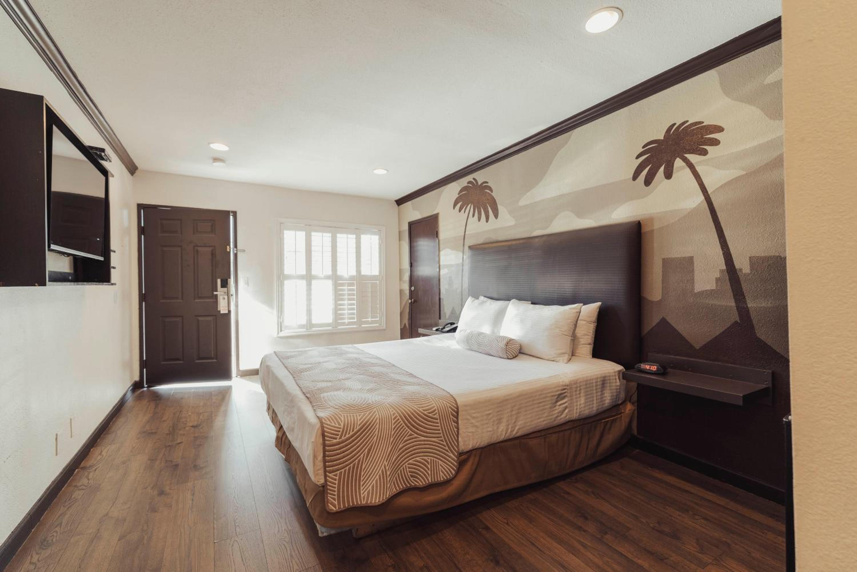 Classic Room - ADA - 1 King Bed photo 2