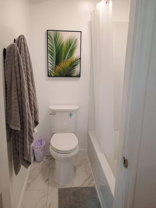 One-Bedroom Apartment photo 3