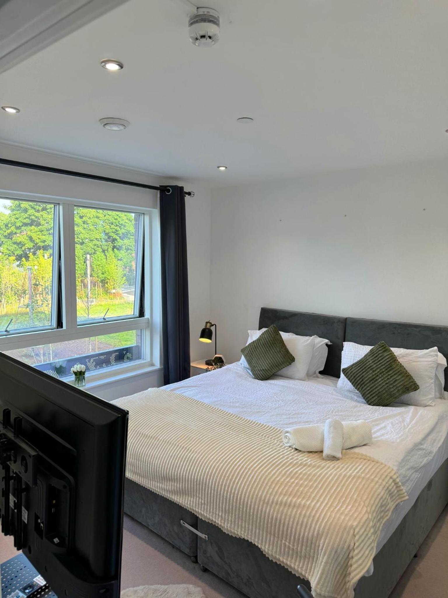 King Room photo 1