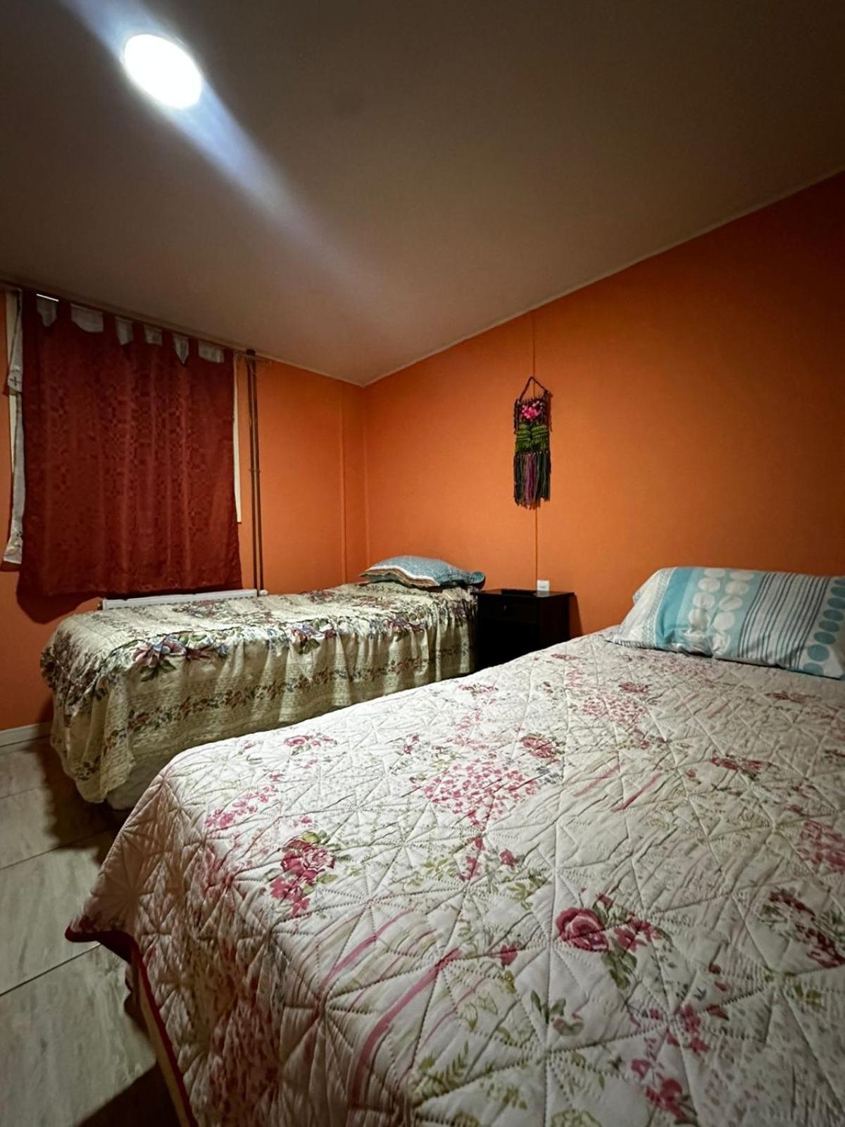 Twin Room photo 2