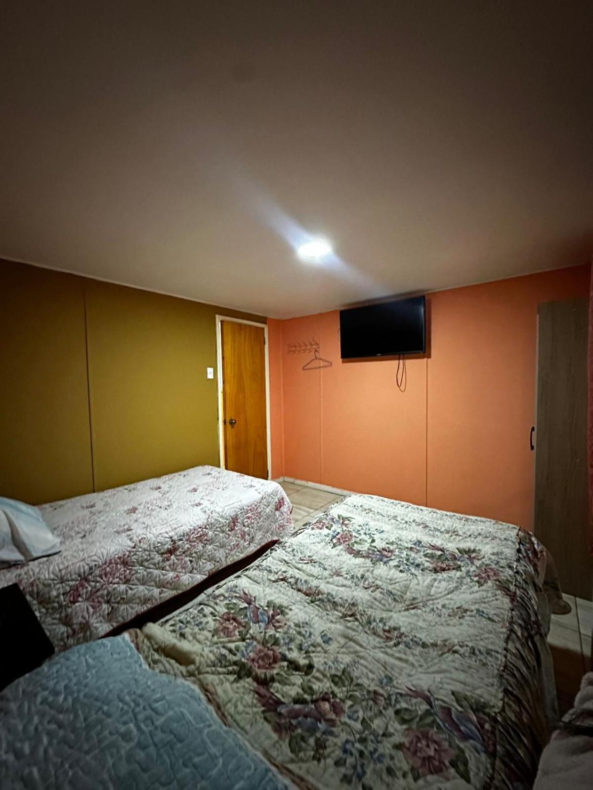 Twin Room photo 3