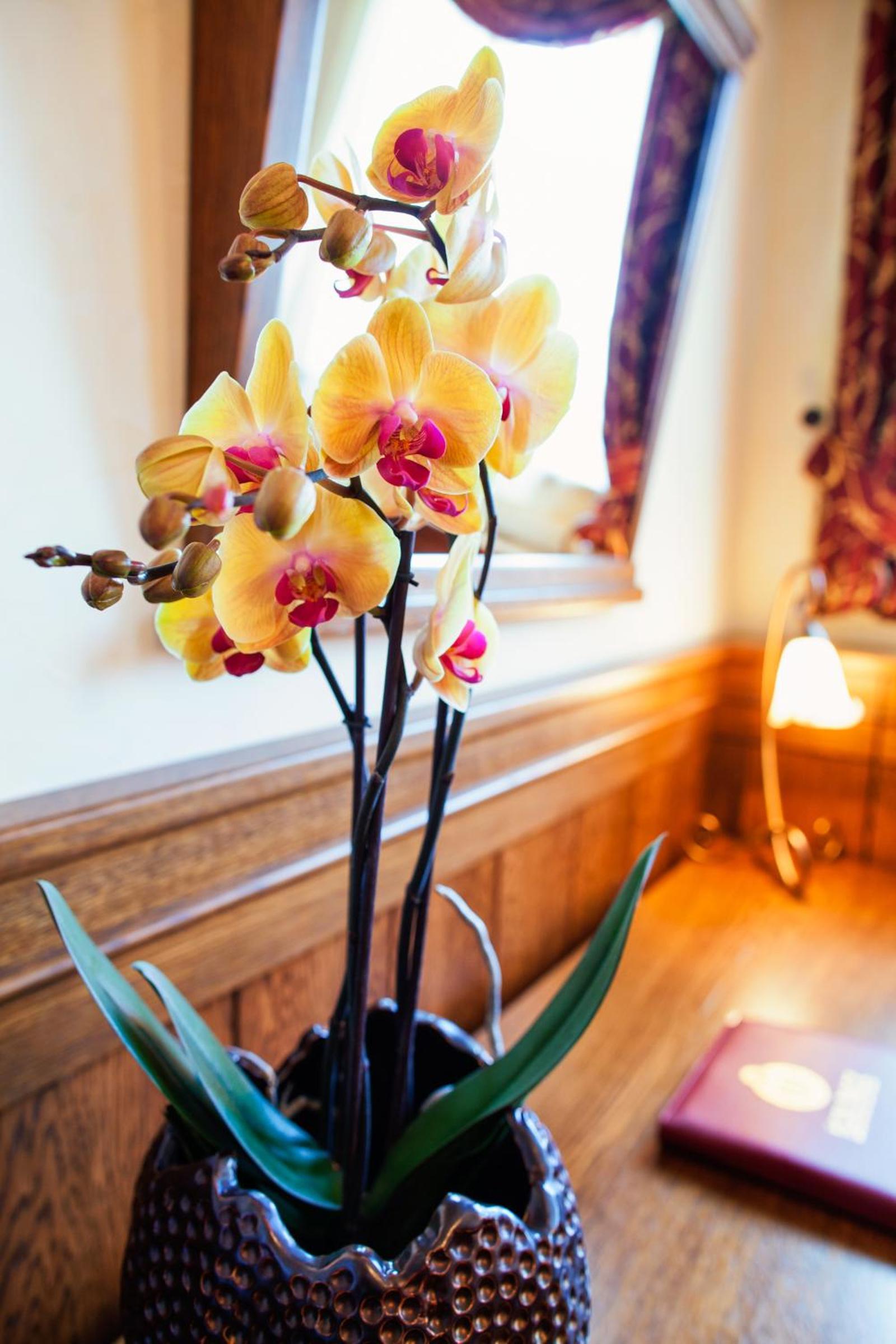 Junior Suite - Photo 2
