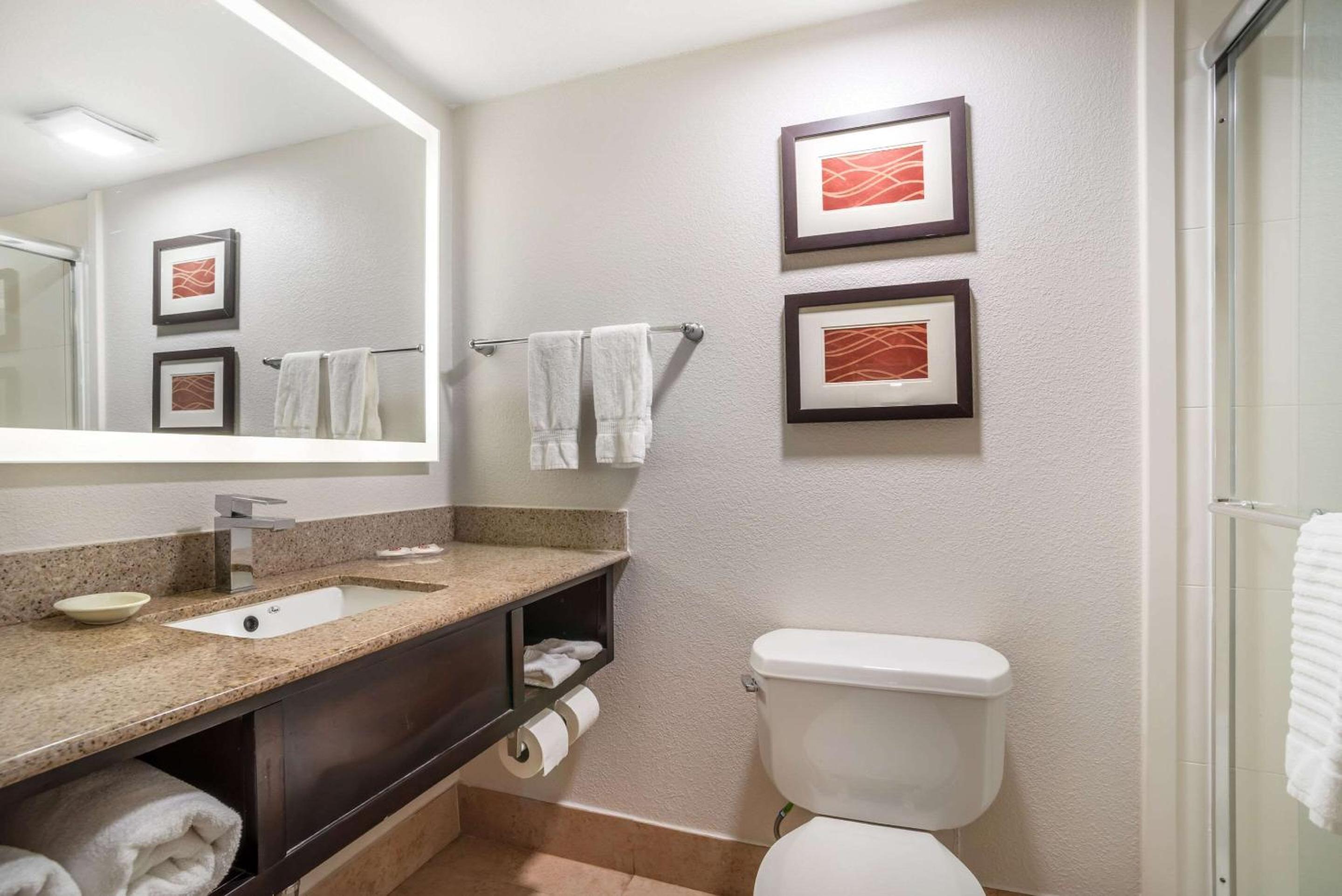 King Room - Non-Smoking - Photo 4