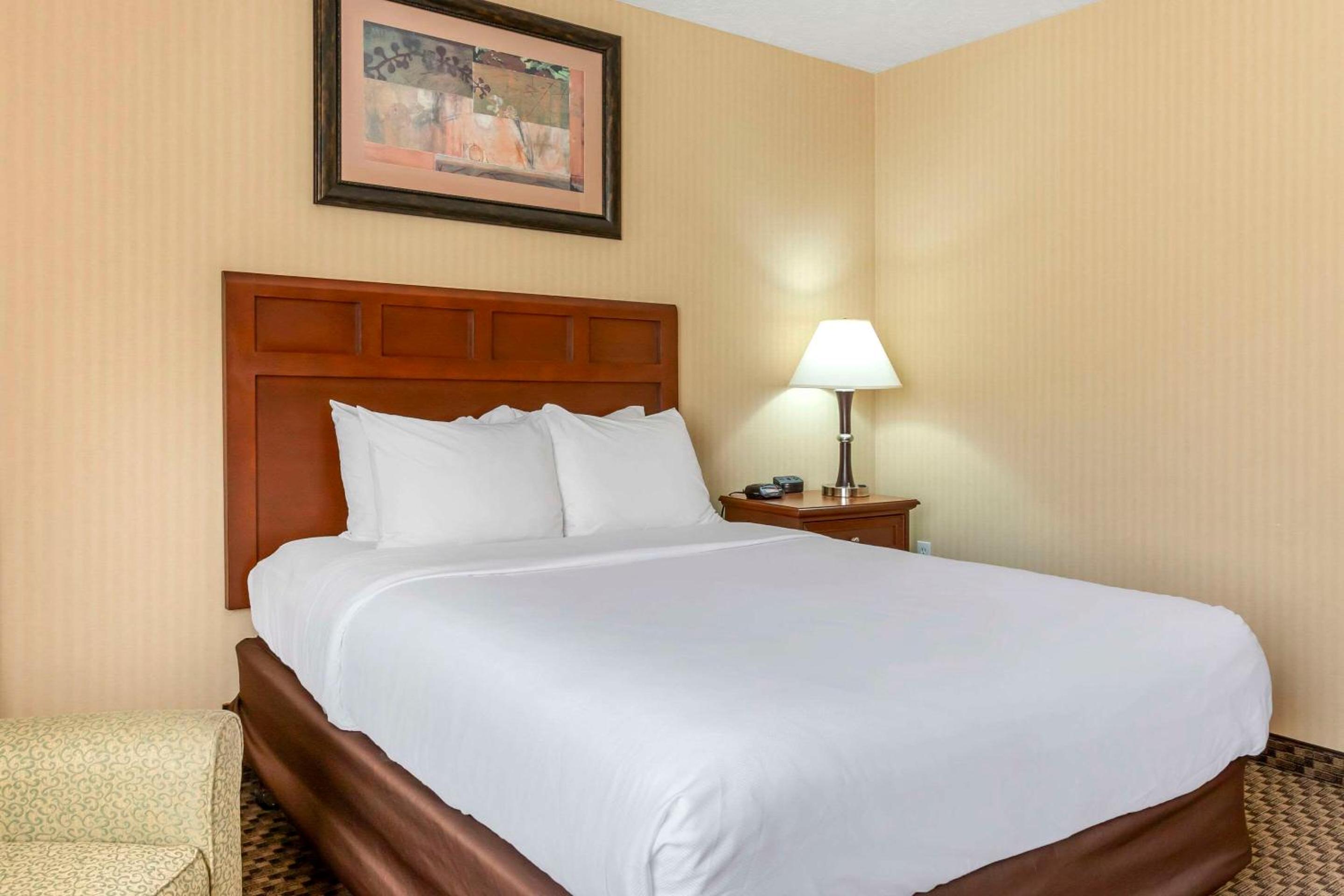 King Room - Photo 1