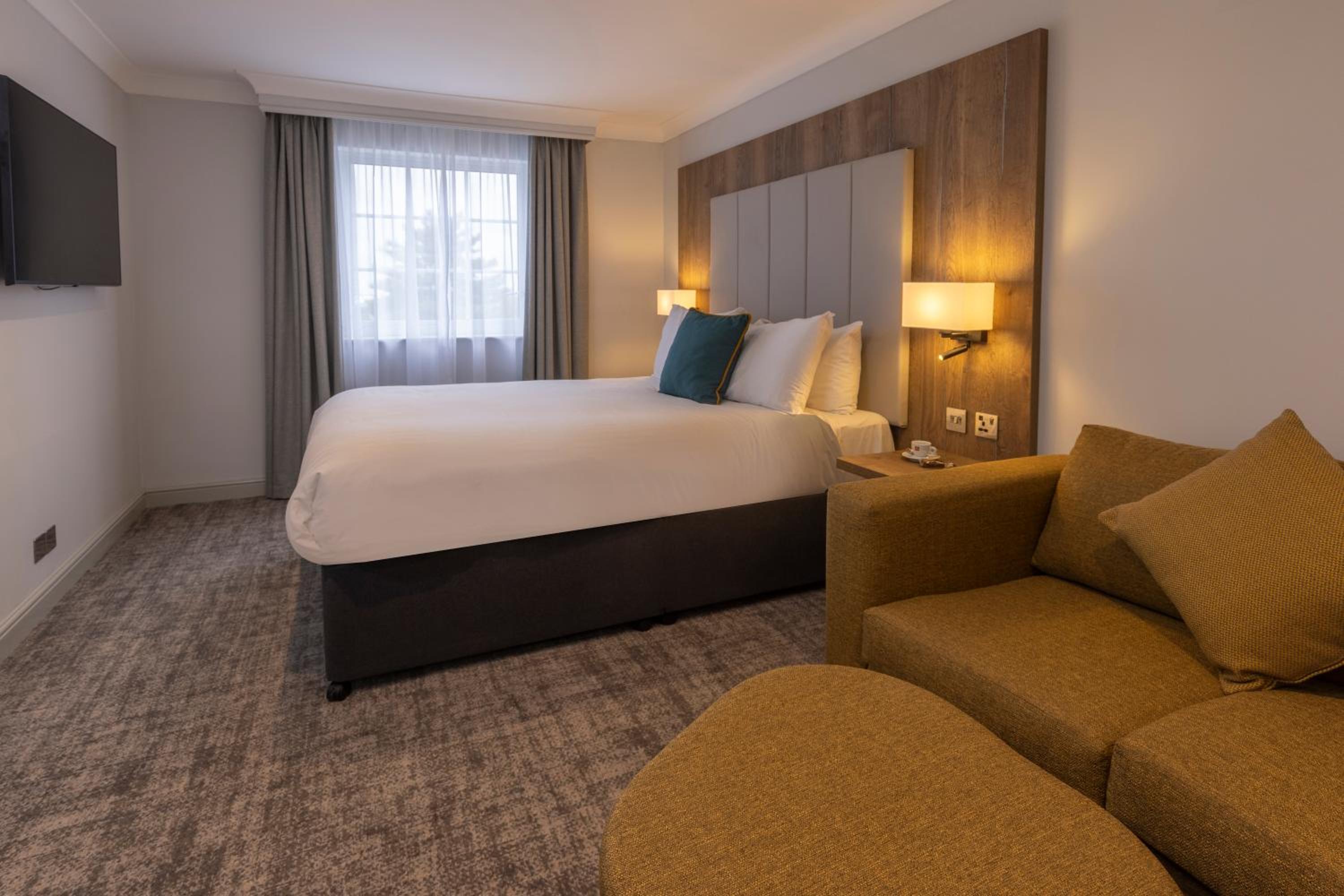 Junior King Suite With Sofa Bed