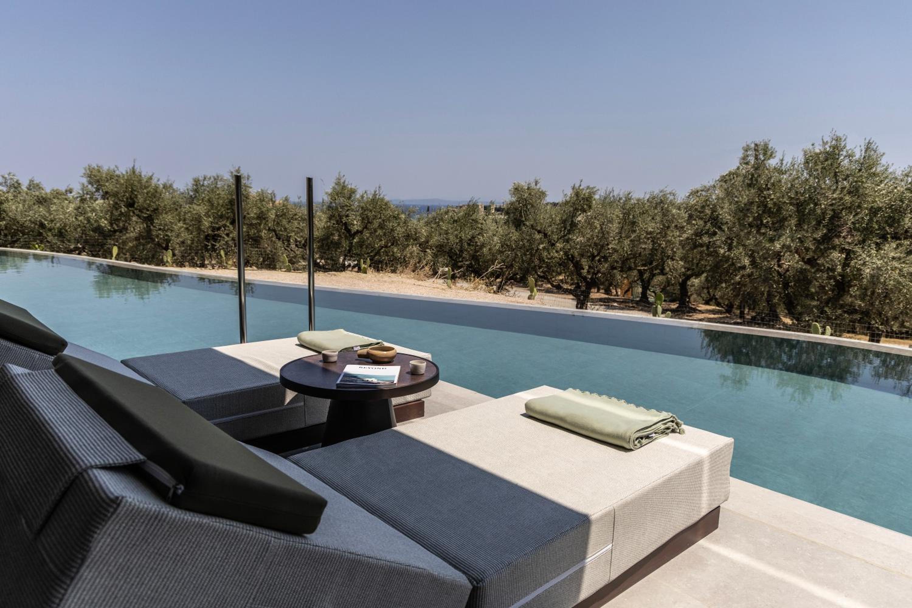 Deluxe Swim-up Suite