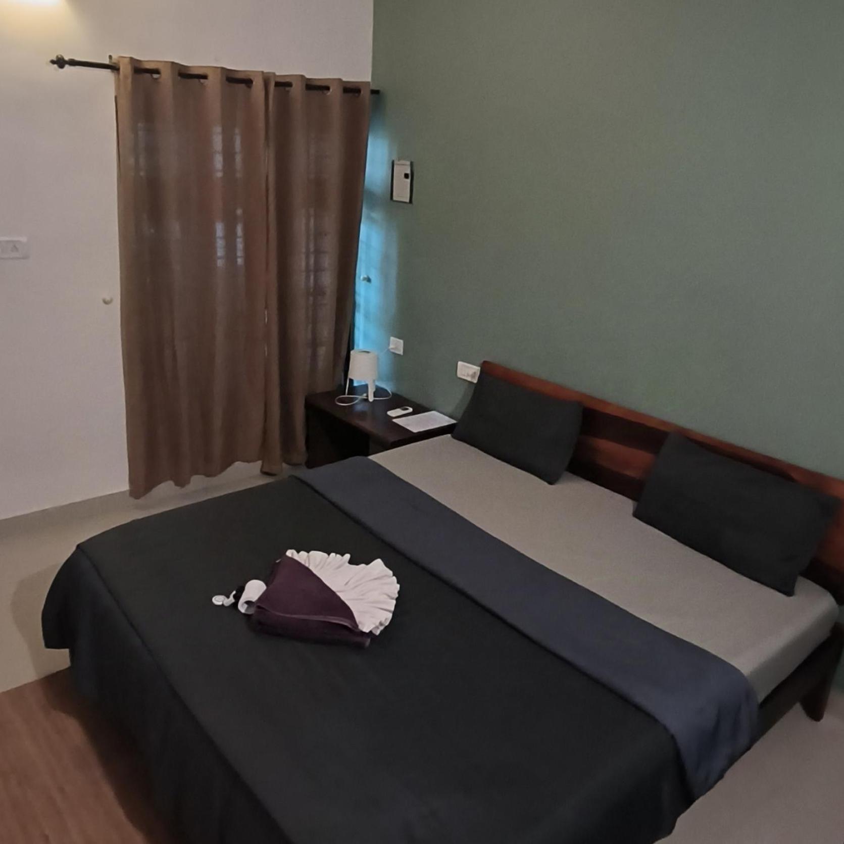Double Room with Balcony - AC  - Photo 1