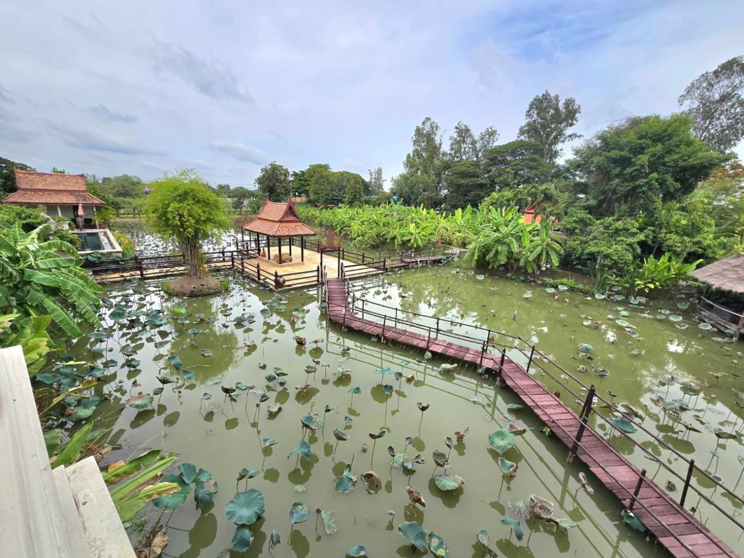 Twin Room with Lake View photo 3