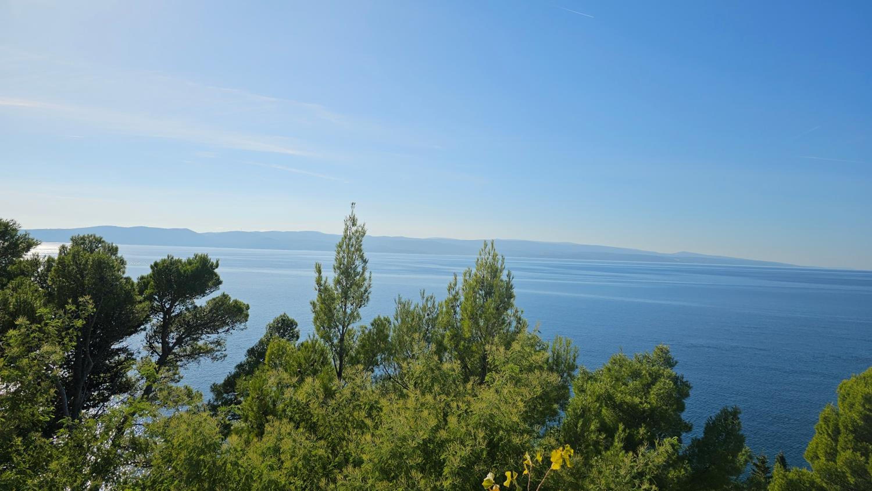 Studio with Sea View photo 2