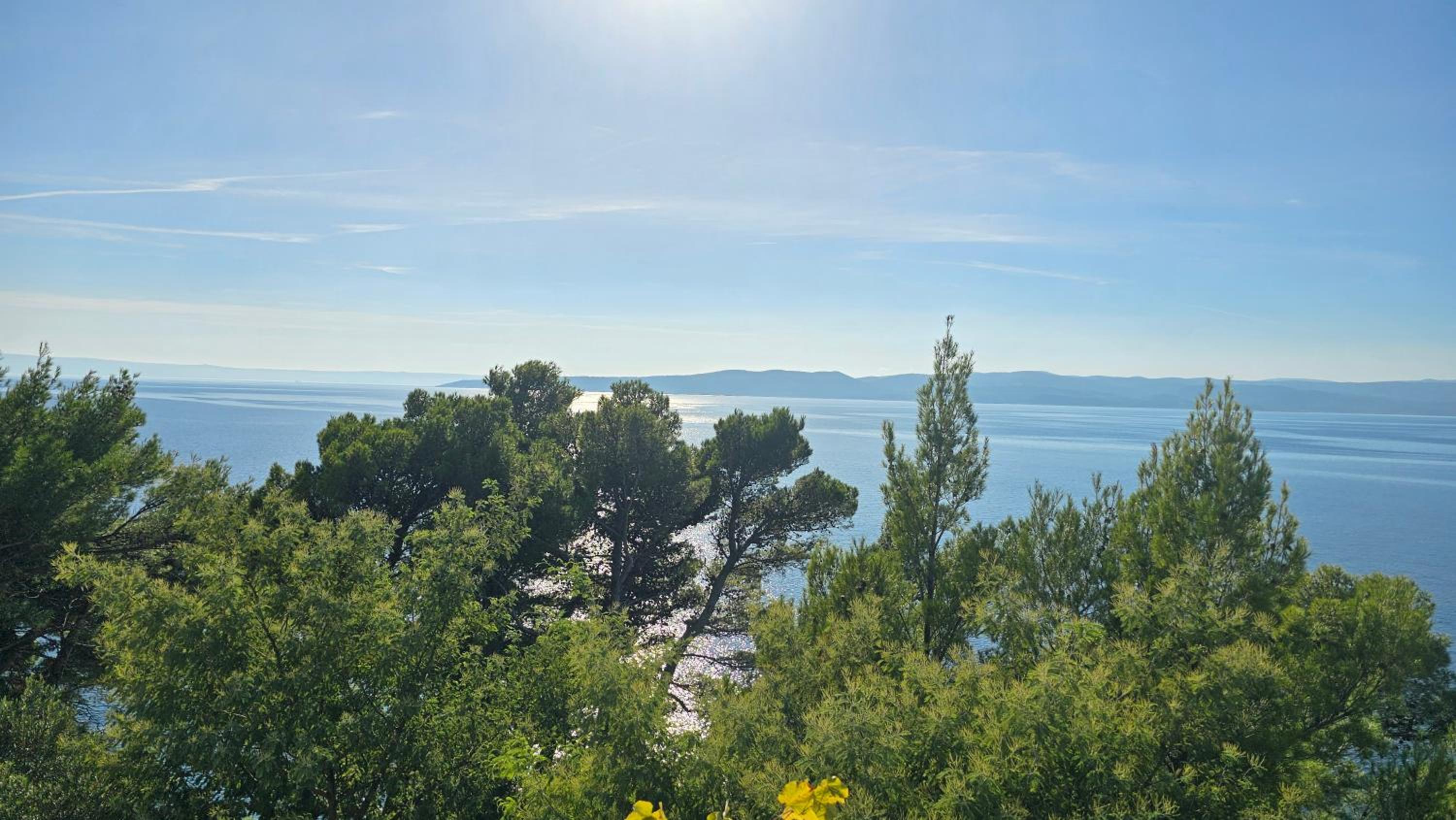 Studio with Sea View photo 3