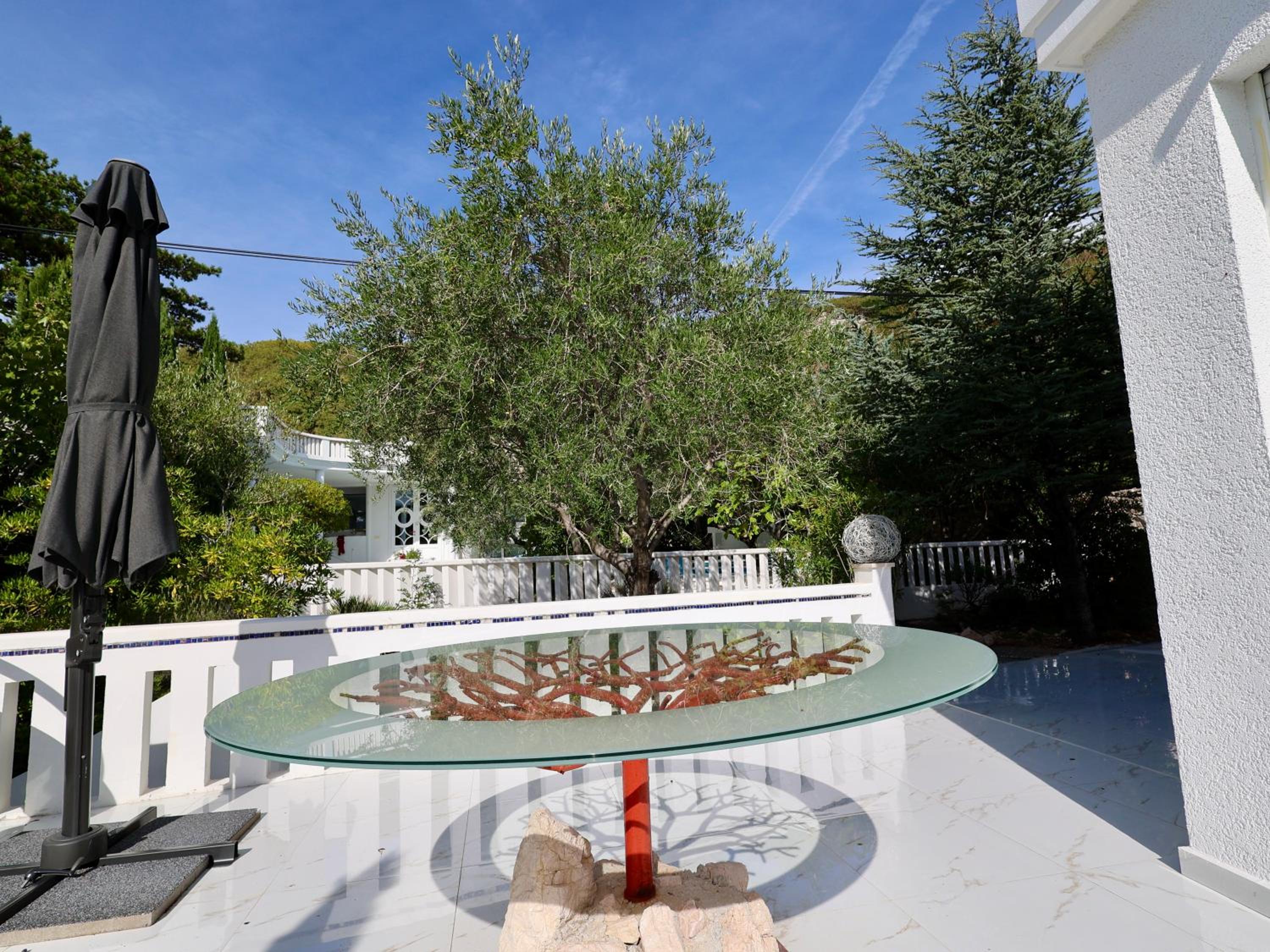 Apartment with Terrace photo 2