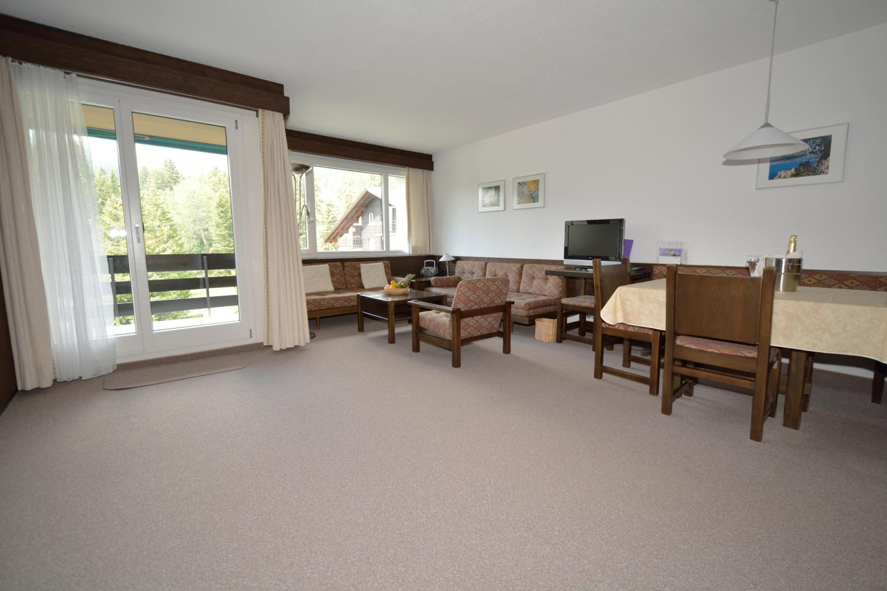 Large One-Bedroom Apartment