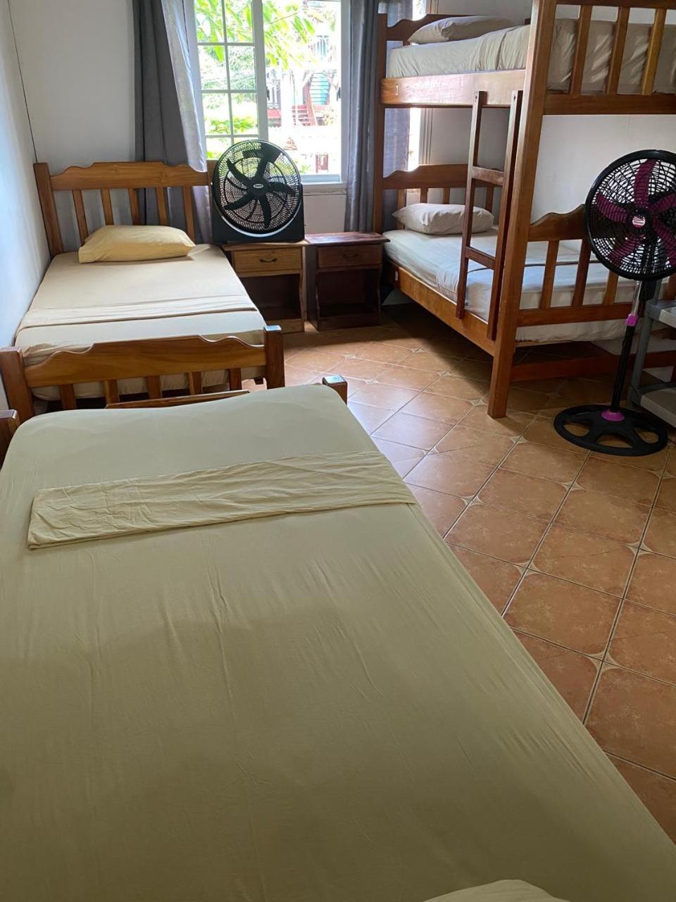 Bed in 4-Bed Dormitory Room photo 1