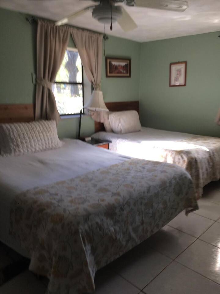 Queen Suite photo 1