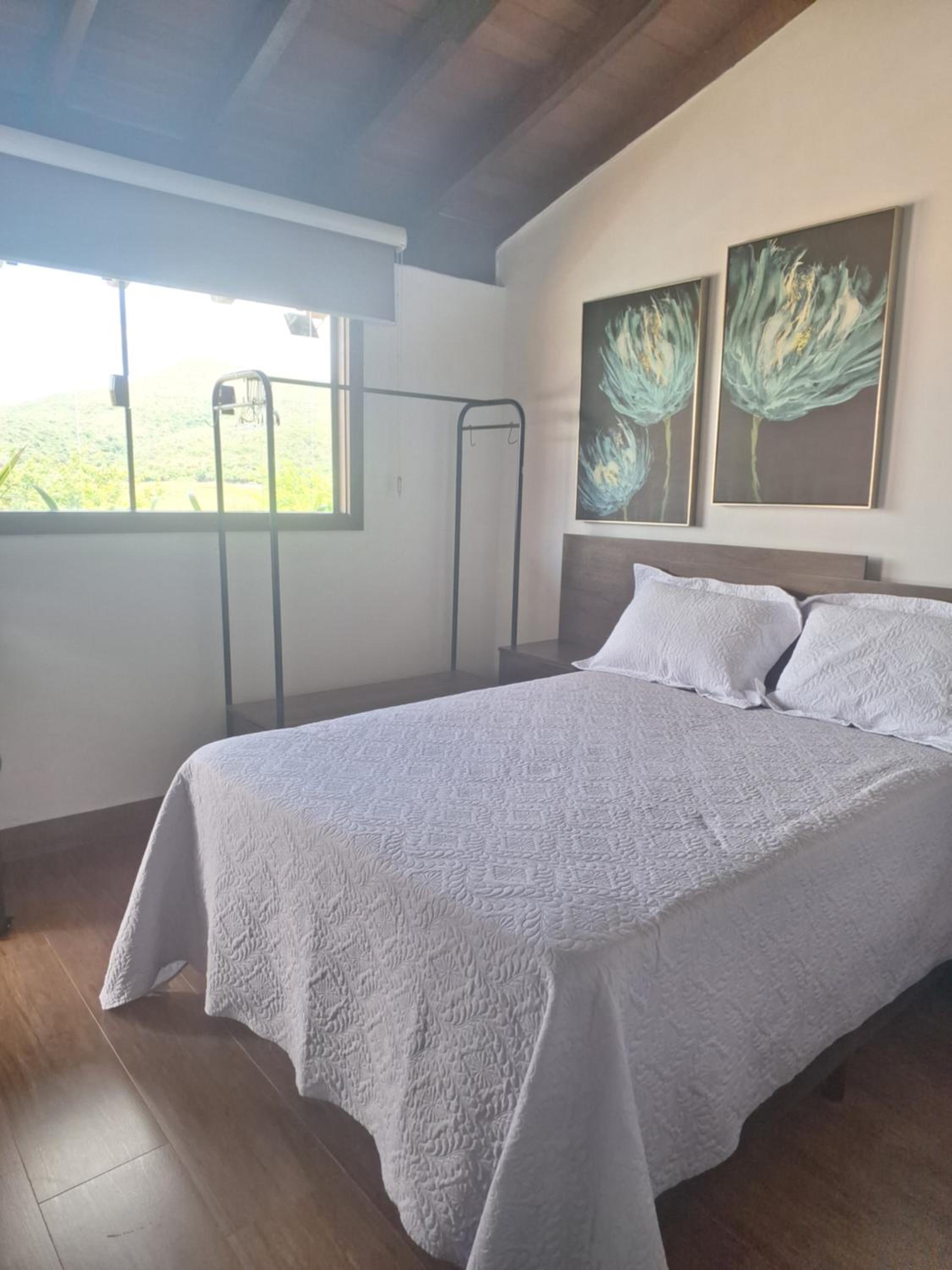 Suite with Mountain View photo 1