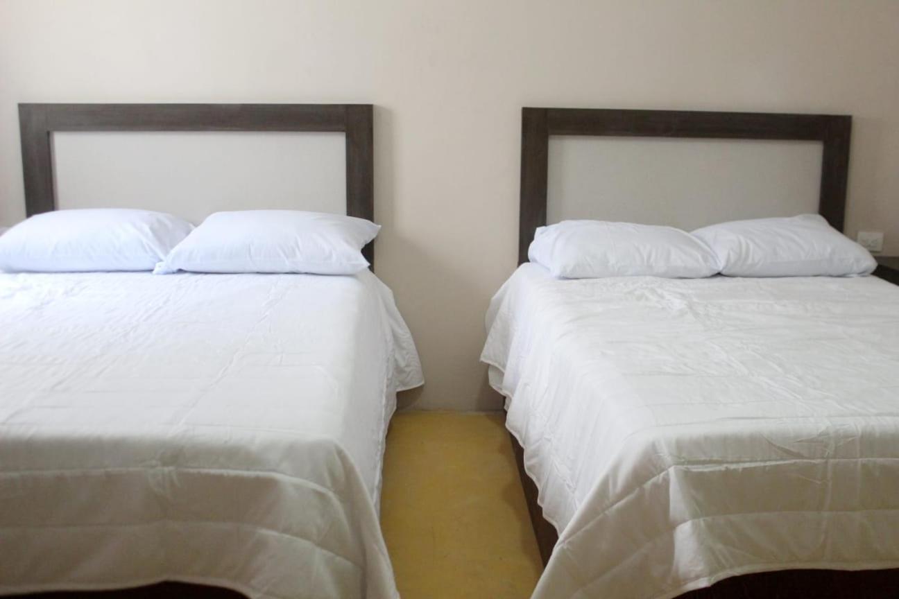 Double Room with Two Double Beds