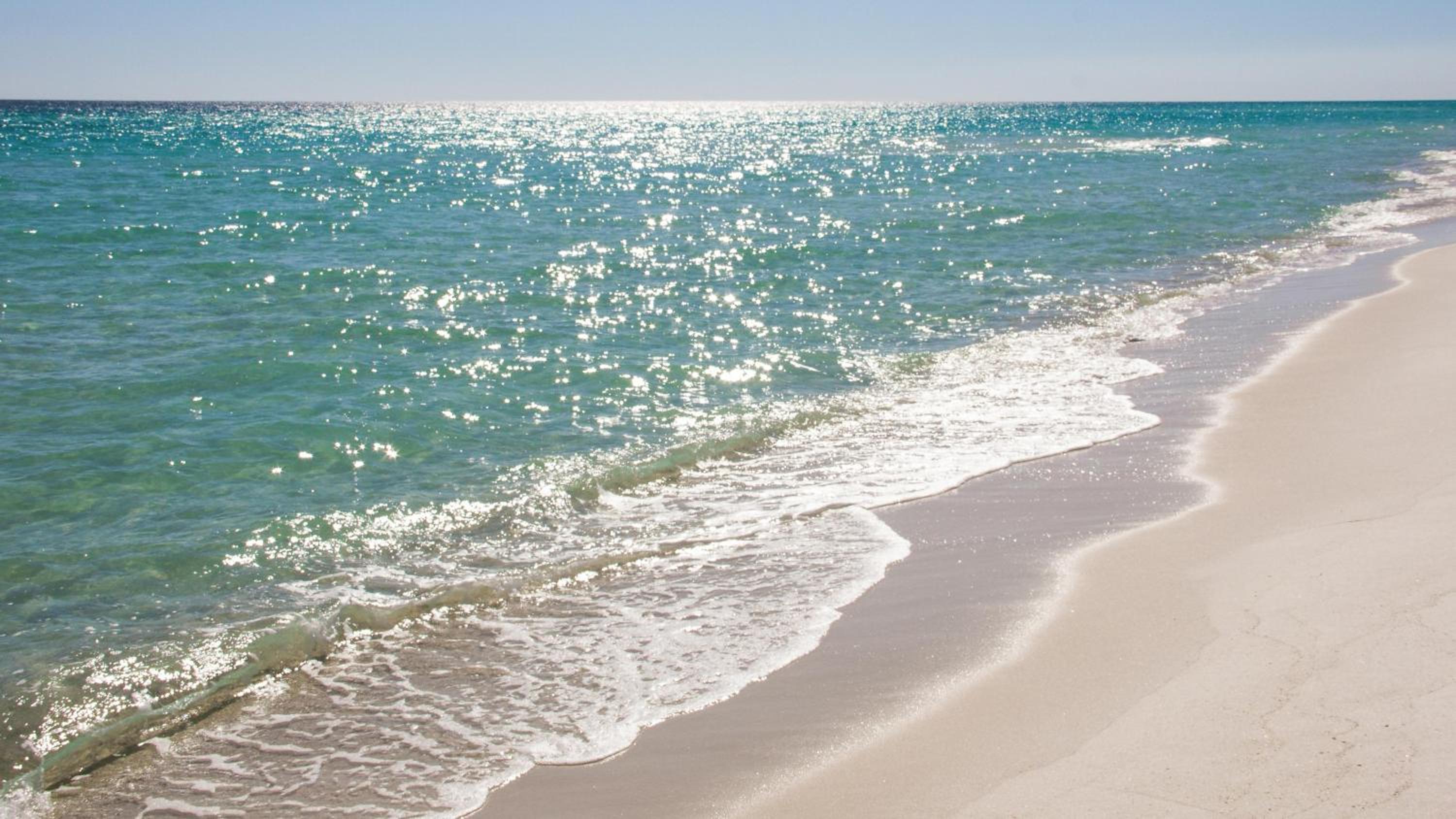 One-Bedroom House photo 3