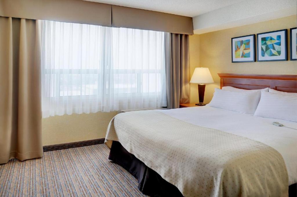 Standard King Room photo 1